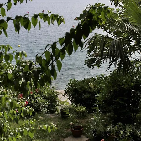 Appartamento 2354d *